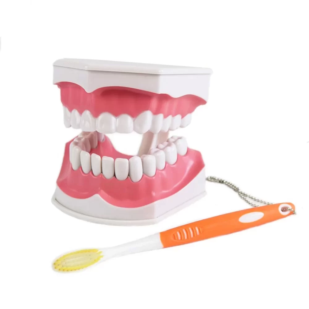 Shop Primary Image